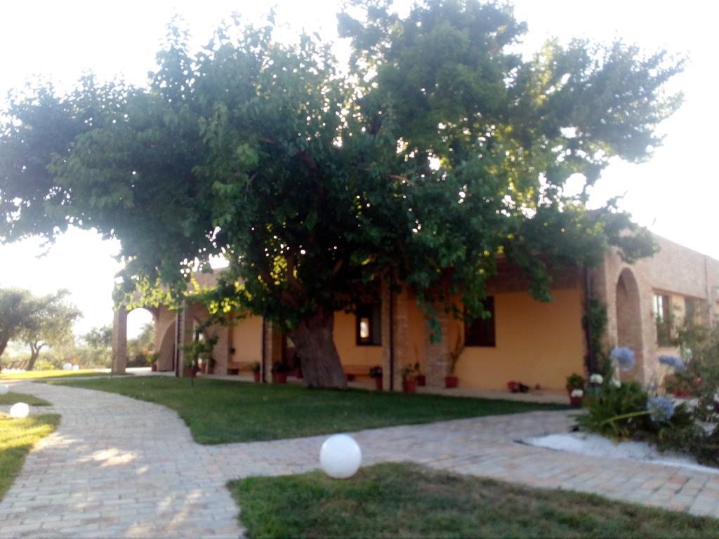 Agriturismo Piccolo Albero Loreto Aprutino Exterior photo